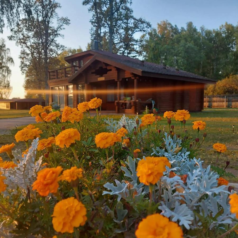 Lauvinu Rezidence Holiday home *